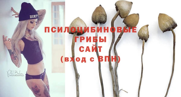 спиды Алзамай